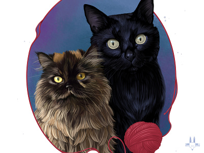 Commissioned Portrait cats design digitalart illustration rikoandthehuman