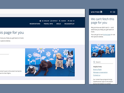 United's 404 page (Dog edition) ui ux visual design