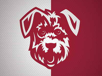 Litchfield High Terriers Logo Rebrand