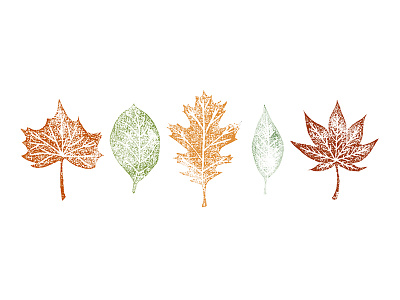 Autumn Leaves autumn autumn leaves autumn weather fall foliage illustration leaf leaves nature orange red stamp