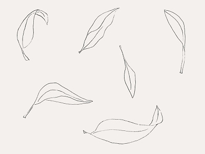 Leaves pt. 1 drawing leaf leaves line drawing minimal simple sketch
