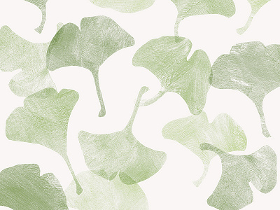 Ginkgo Leaves gingko ginkgo ginkgobiloba ginkgoleaf illustration leaf leaves minimal mood painting plant simple