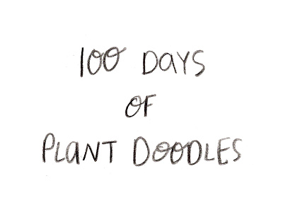 100 Days of Plant Doodles hand lettering illustrations lettering letters plant plants the 100 day project type