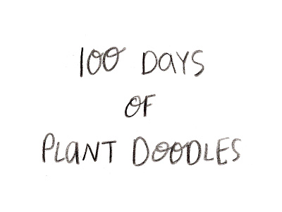 100 Days of Plant Doodles