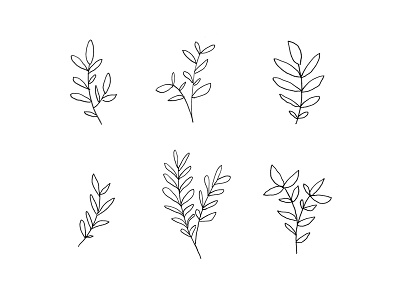 Six Plant Doodles botanical doodle drawing illustration leaf leaves line plant plants
