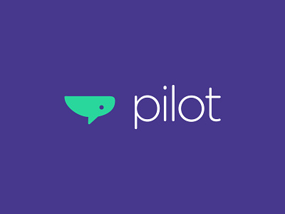 The Etymology of Pilot