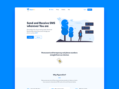 PigeonSIM Landing Page Design