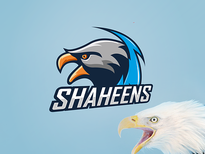 Shaheens Bald Bird Mascot Logo 2022 logo bird logo graphic design illustration logo mascot logo pakistan shaheens vector