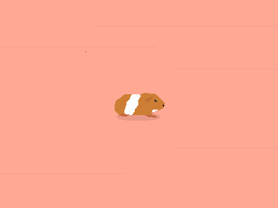 gif testing animation art gif ham hamster jump pixel sprite