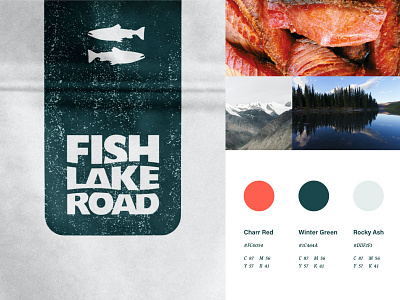 Fish Treats!! branding graphic design logo