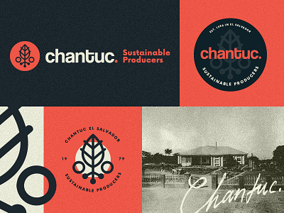 Chantuc Sustainable Solutions - Branding Exploration badge branding coffee emblem exploration icon label logo logo system system vector