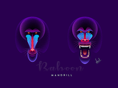 Baboon Mandrill creative digital art graphic design illustration illustrator illustrator character designing logo