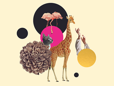 Collage design | Is there a giraffed in here? collage collage art collageart collages cut and paste design digital art digital design digitalart giraffe illustration illustrator layout mixed media photography photoshop