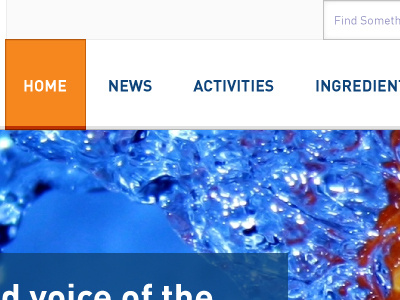 Some corporate website blue clean din grid nogradient noradius orange subtle
