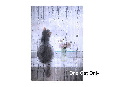 One cat only 35000 chāhuà illustration ui 插图 设计