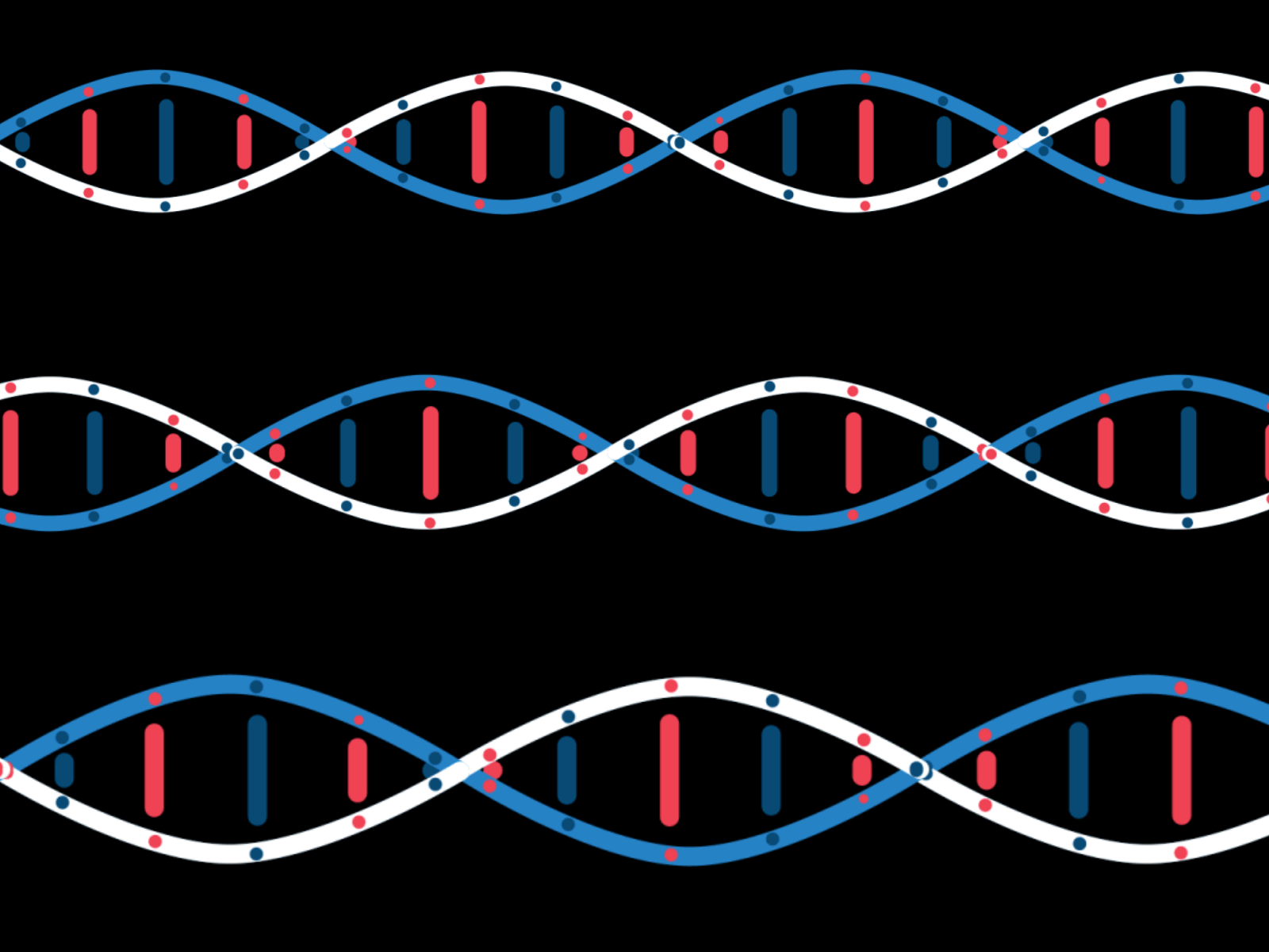 DNA 2d after affects animation animations biology biotech brasil brazil dna education gif