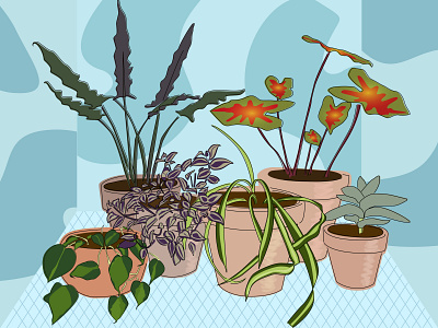 My Plants color exploration design digital art digital drawing illustration