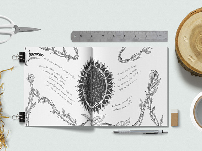 "Distintos tipos de muerte" books design drawings editorial design illustration