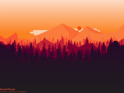 Sunset Forest