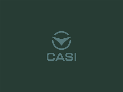 CASI Wordmark