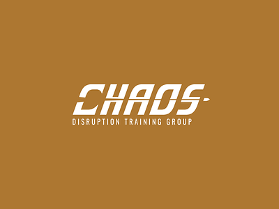 Chaos Disruption Training Group brand branding bullet chaos chaos disruption training group defense gun logo logo design training vector weapon wordmark