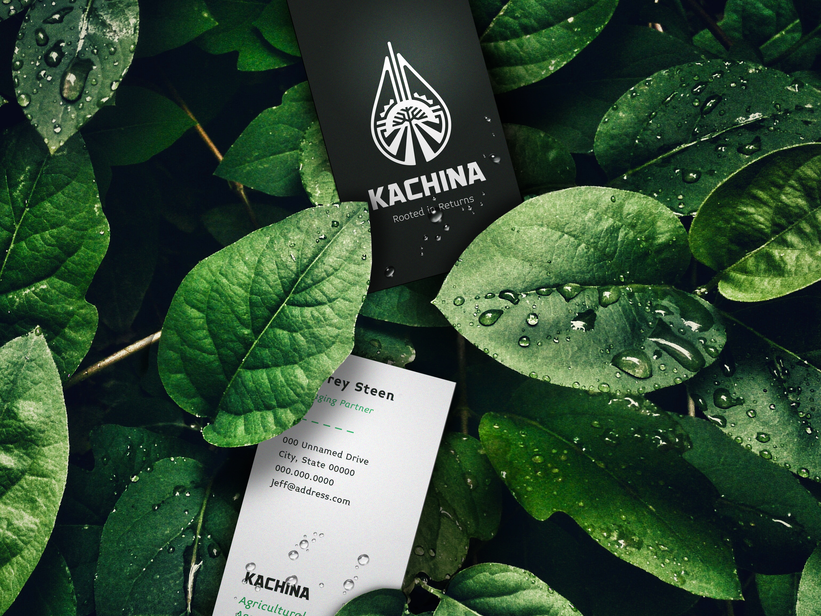 Botanical product backdrop Mockup free