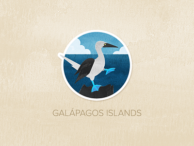 Day Seventeen: The Galápagos Islands badge icon illustration painted pin textured watercolour