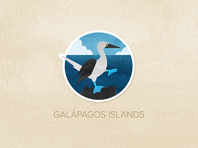 Day Seventeen: The Galápagos Islands