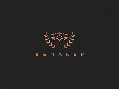 Benakem advocate black geometric law line pattern stars texture type typography vector