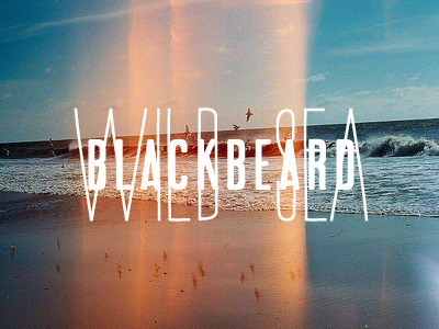 Blackbeard wild sea 2