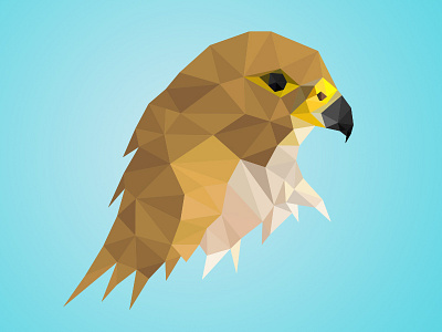 Low Poly Bird Logo bird eagle falcon gold illustration logo low low poly mark poly