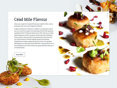 Copper And Spices away food indian interface minimalist resturant simple take ui ux website