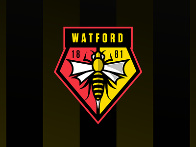 Watford Football Club Crest Redesign Concept branding crest epl football football badge football club football crest football logo premier league soccer soccer badge soccer crest soccer logo