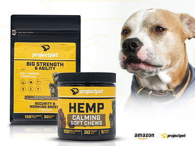 PACKAGING DESIGN FOR PROJECTPET