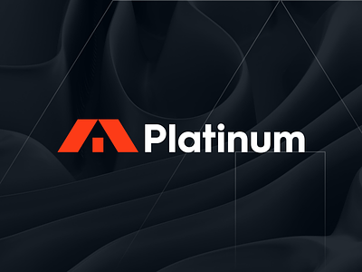 PLATINUM LOGO/BRANDING DESIGN CONCEPT.