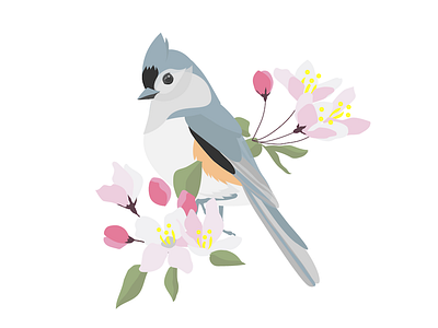 Tufted titmouse animal bird cherry blossom flowers illustration