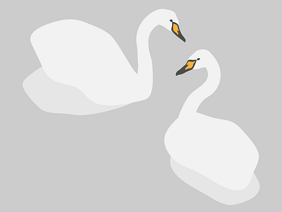 Swans animal bird illustration swan