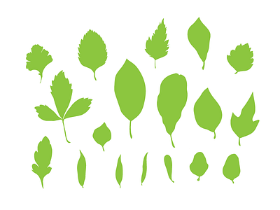 Leaves