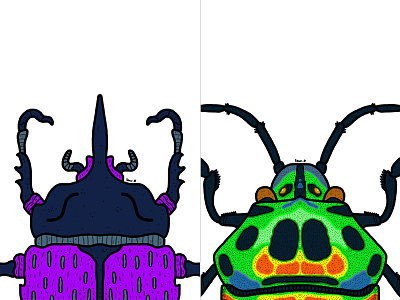 Beetles #2 art artist artwork beetle beetles colour colourful colours design digital digital illustration digitalart draw drawing illustrate illustration illustrator pattern patterns work