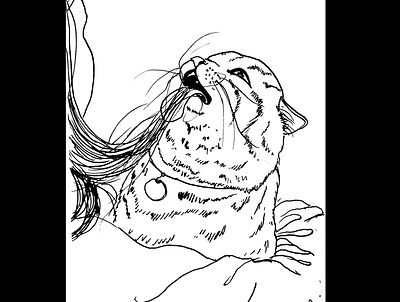 I like your hair cat daily sketch drawing illustration ink drawing sketch