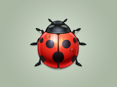 Bug Report bug icon ladybug smartisan