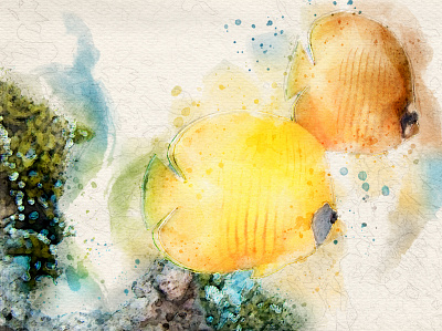 Larry tropical fishes illustration ilustracion tropical watercolor