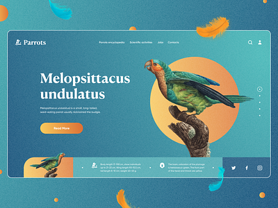 Parrot Encyclopedia website