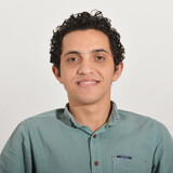 Ahmed Alaa Fahmy