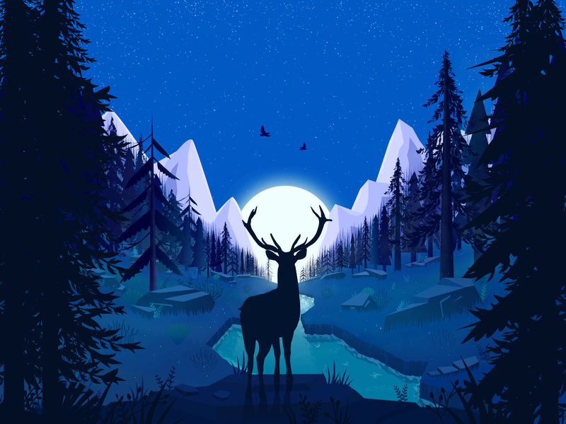 Forest night by Riva on Dribbble