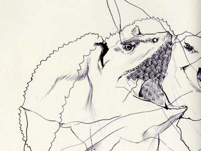 frilled lizard bestiary drawing frilled lizard