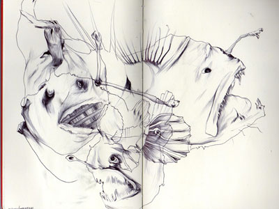 bestiary: anglerfish anglerfish bestiary drawing