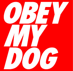 obey my dog obey shepard fairey zoolander