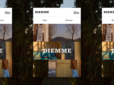 diemme-mobile branding design ui web
