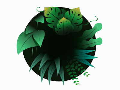 Plants on a Windy Night aftereffects animated gif animation animation 2d digital art illustration motion design motiongraphics vector illustration vectorart